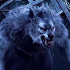 Wolfmann