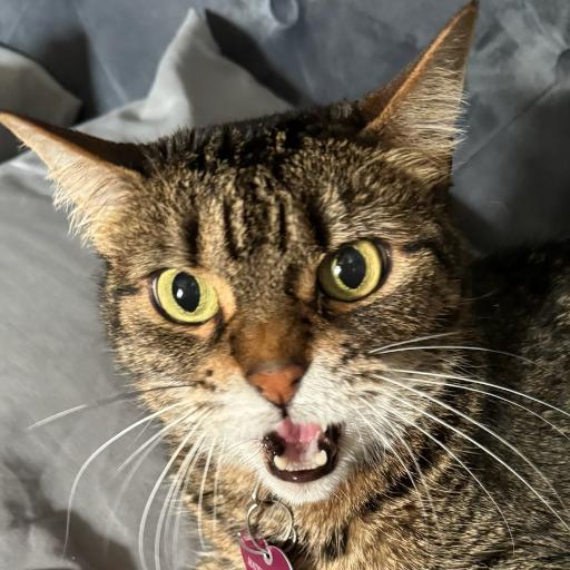 EvilMuah