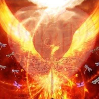 Phoenix_teine