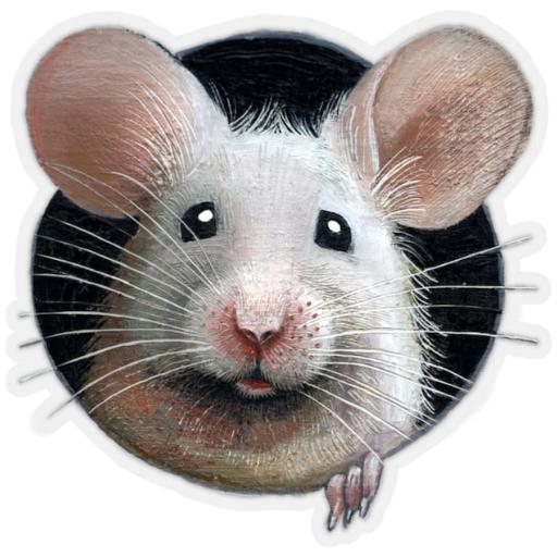 ANONNAMOUSE1
