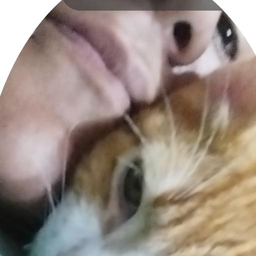 Kellylf
