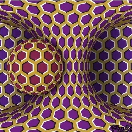 sysion