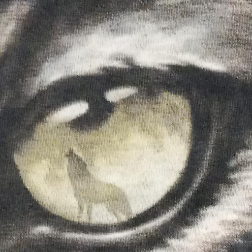 Mtnwolf333