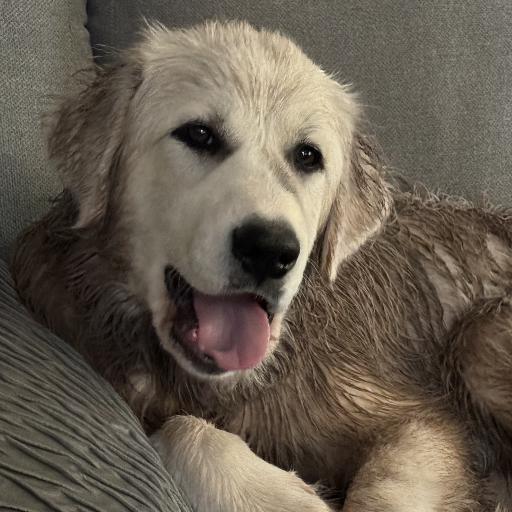 Omorgma