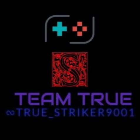 TRUE_STRIKER9001