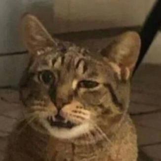 Drakk