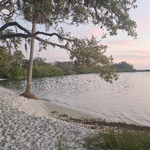 LifeIsABeach