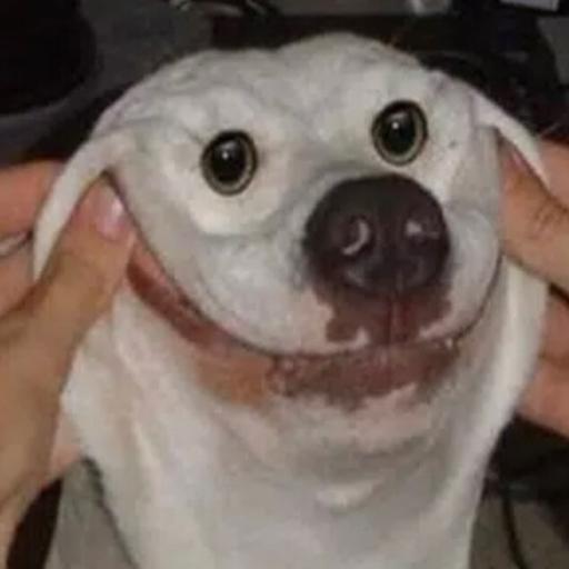 ronnicoco