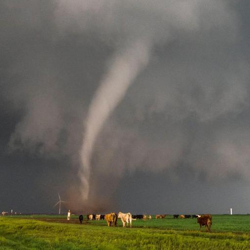 WxChaser
