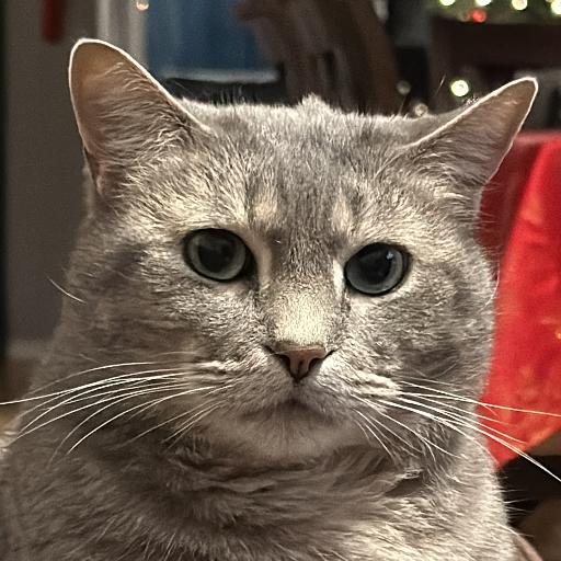JebediahJames