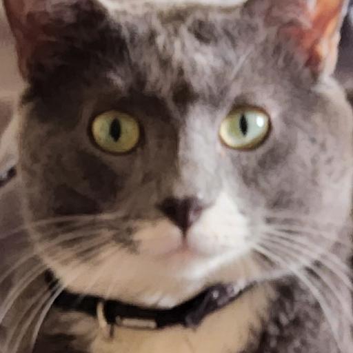 PRINCE_LOKI