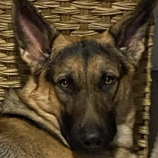 Franco