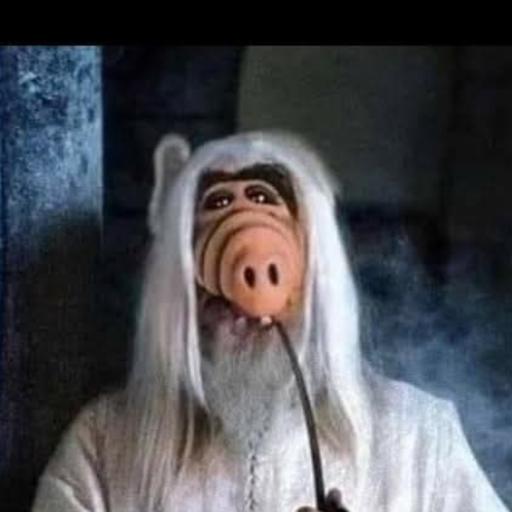 pioupiou74
