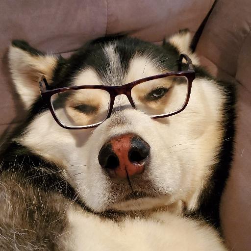 IAmHusky