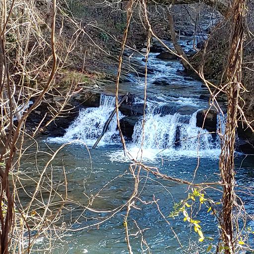 frank9177