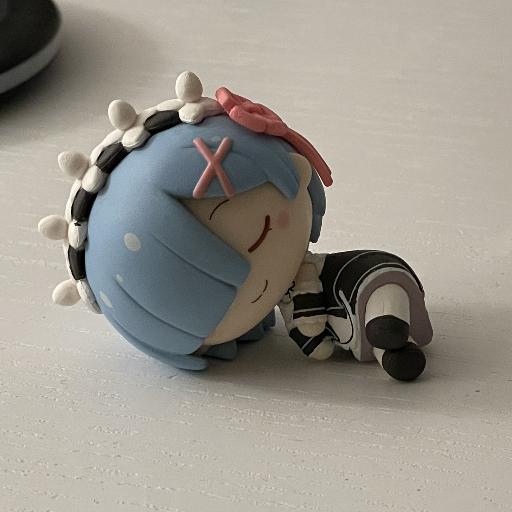 ninjip