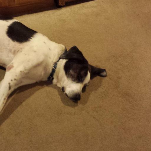 ThorGauthier