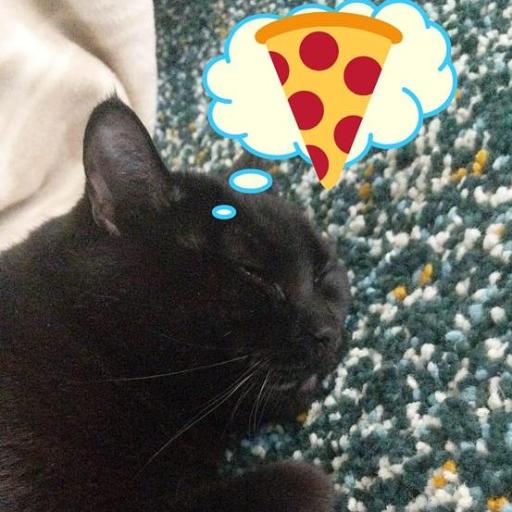 PizzaKippy