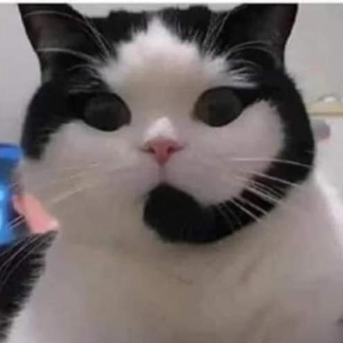 chattrade