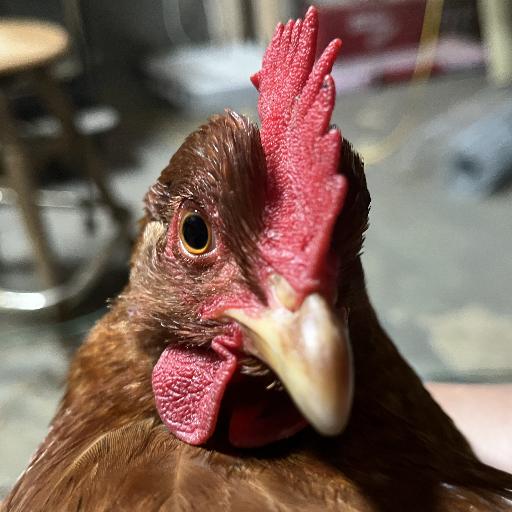 TaterMoonshine