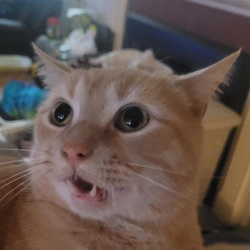 PardiPants