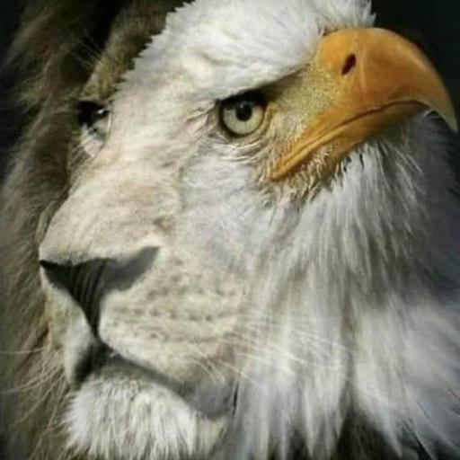 FuckLiberals