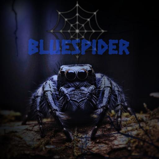 Spiderknurzi