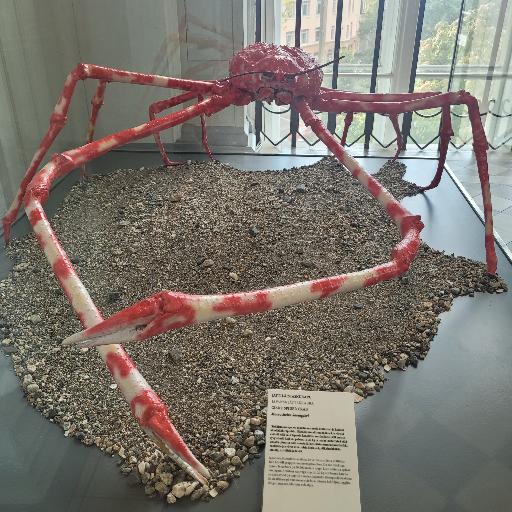 Spidercrabby