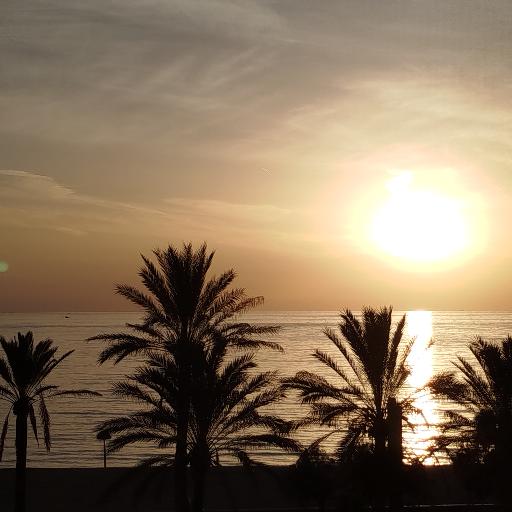 Sunnysky