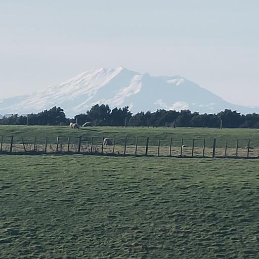 Esbigh