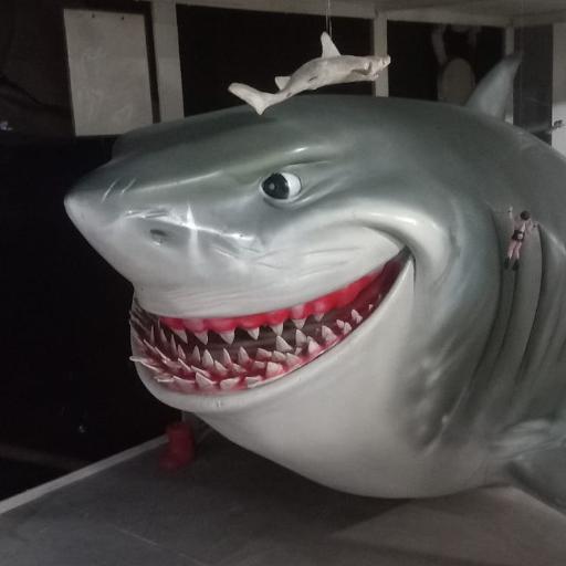 Gowky