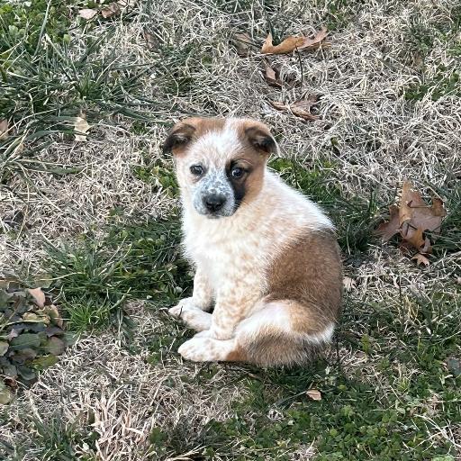 Johnny74965