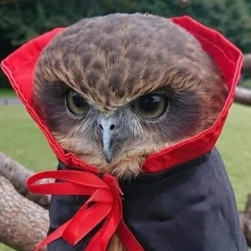 Arasthmas