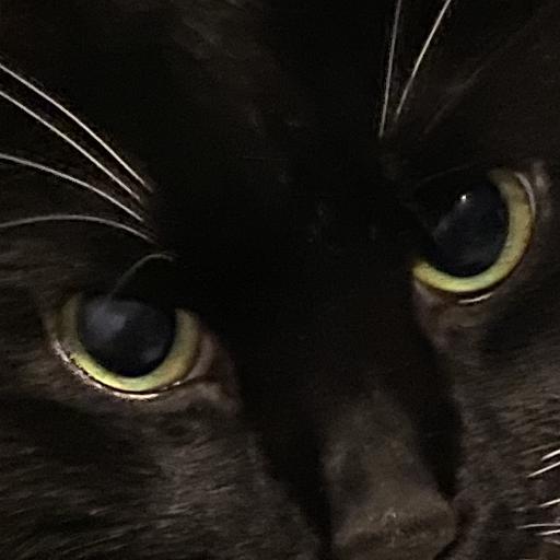 KuroTuxKitty
