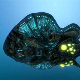 Le_Reef_Errant
