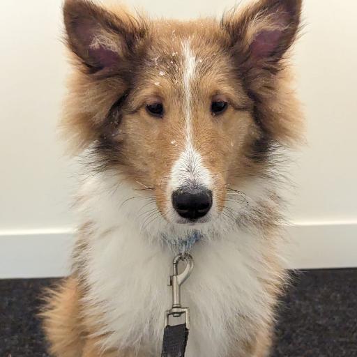 Blue_Train