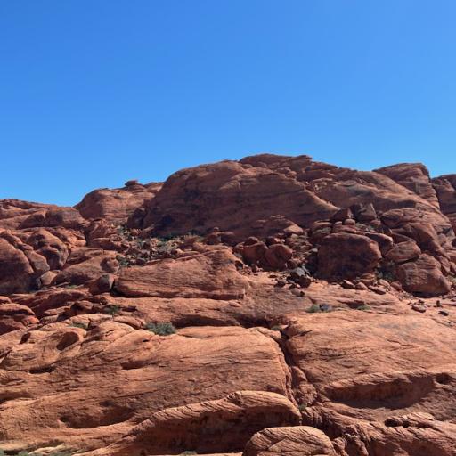 Redrockcanyon