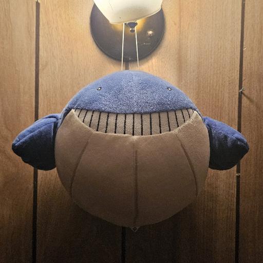 Poytin