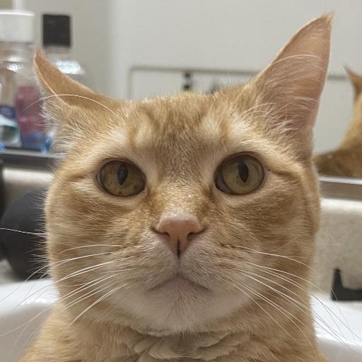 Finnman