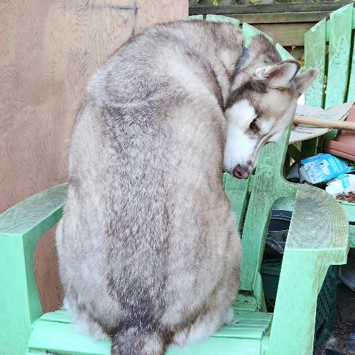 Koda8