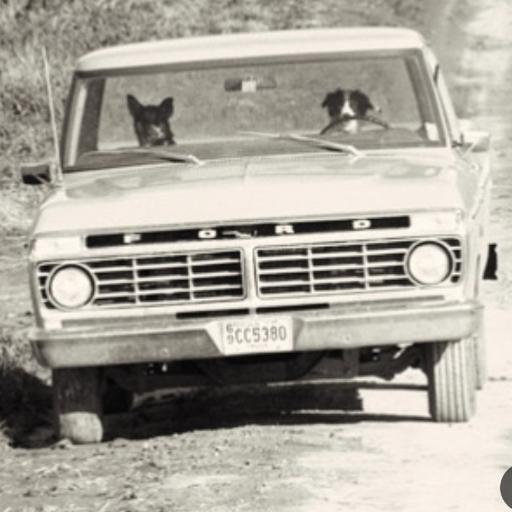 66f100