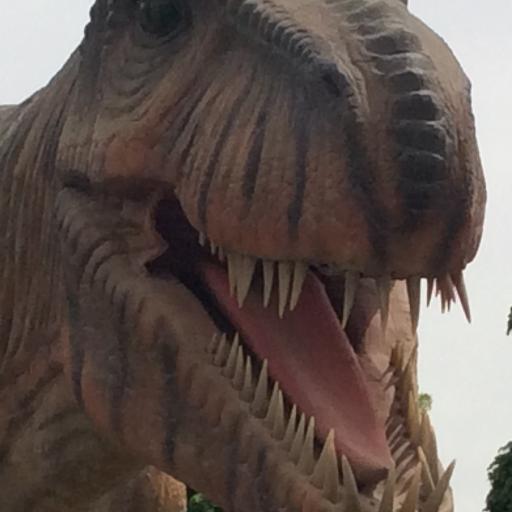 Ellie10