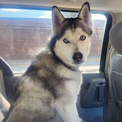 HUSKYLOVER88