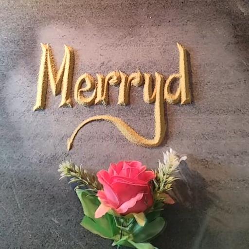 MerryD_arm10