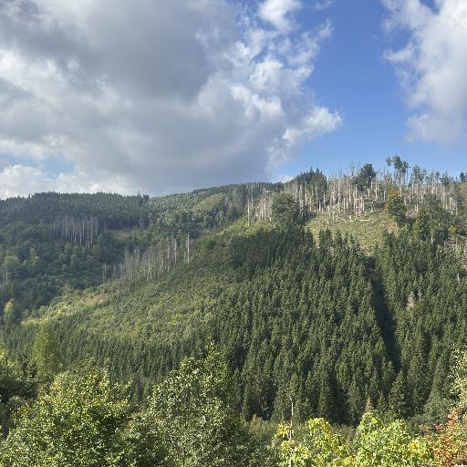 Vindum
