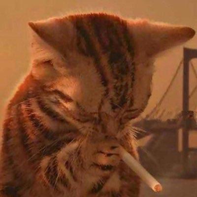 whitefieldcat