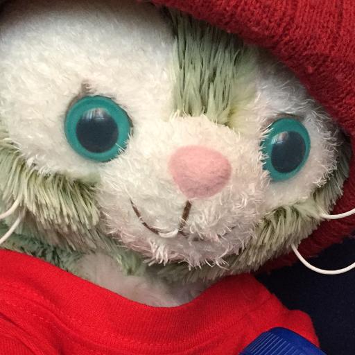 Giantsfanmew