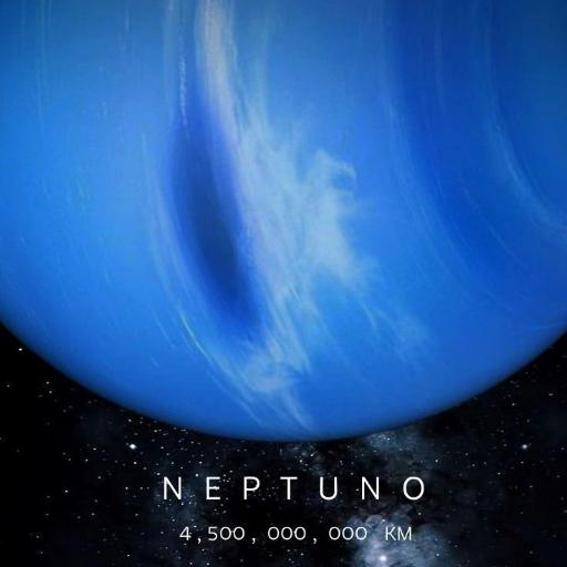 1NEPTUNE