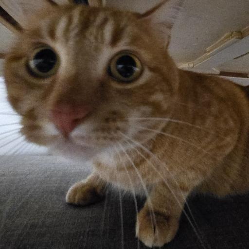 jaero