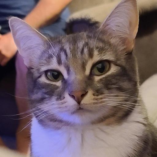 Maran